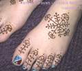 feet0017.jpg