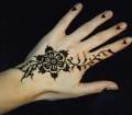  Hena Tatoo