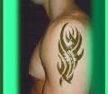 tribal-arm2.jpg