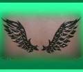 wings2.jpg