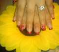 dsc00103.jpg