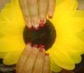 dsc00106.jpg