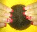 dsc00107.jpg