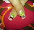dsc02688.jpg