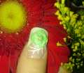dsc02979.jpg