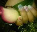 dsc02980.jpg