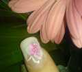 dsc02985.jpg