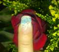 dsc02993.jpg