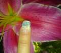 dsc02994.jpg