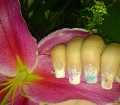 dsc02995.jpg