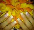 dsc03014.jpg