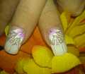 dsc03017.jpg