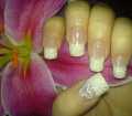 dsc03020.jpg