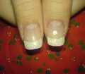 dsc03033.jpg