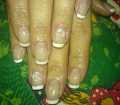dsc03040.jpg