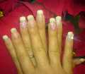 dsc03050.jpg