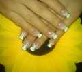 dsc03067.jpg