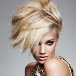 hair2_68063a.jpg