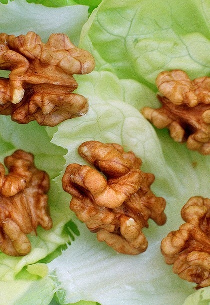 walnuts-dita-bukurie-fytyre-ushqime-receta-keshilla-maska-fytyre-